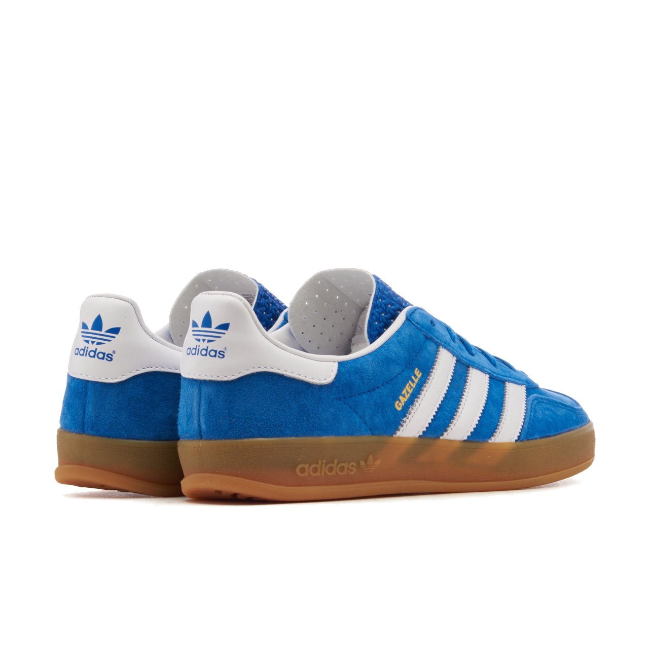 adidas Gazelle Indoor Blue Bird Gum - H06260 - Back